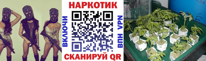 Какие есть наркотики Череповец Cocaine  АМФЕТАМИН  Alpha PVP  Каннабис  ГАШИШ  МЕФ 