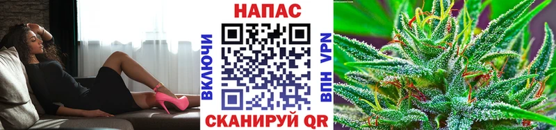 как найти наркотики  Череповец  Каннабис индика 